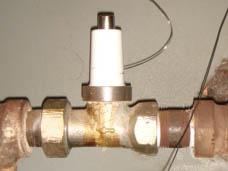 Tighten Collar Correctly